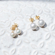 Load image into Gallery viewer, Olive Studs